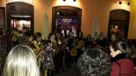 flamenco